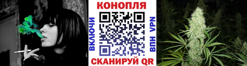 Где купить наркотики Снежногорск МАРИХУАНА  COCAIN  АМФ  Alpha-PVP  Меф мяу мяу  ГАШ 