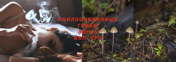 мескалин Арсеньев