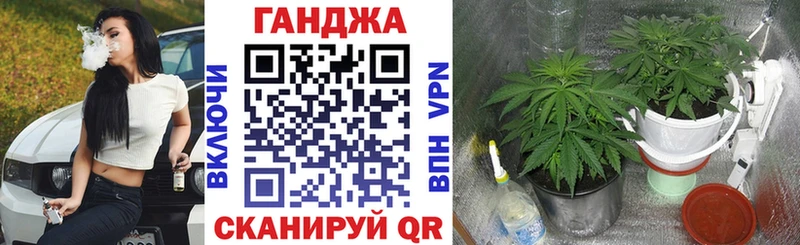 Каннабис MAZAR Снежногорск